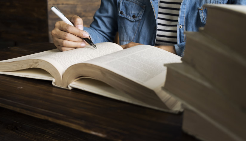 Revisão literaria