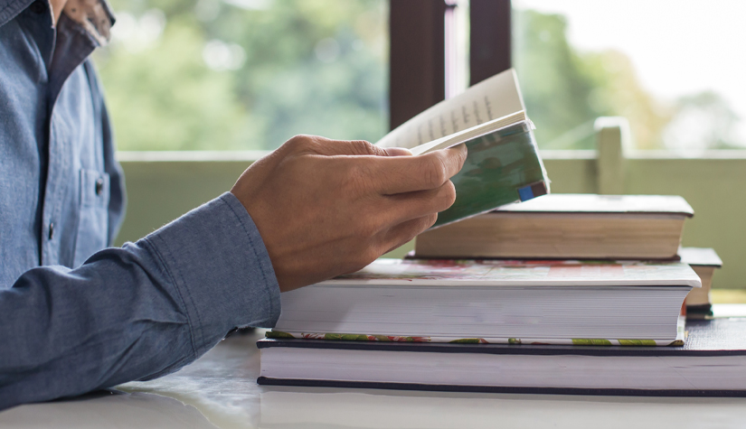 Revisor de livros